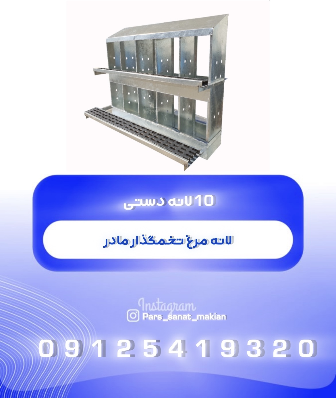 لانه مرغ تخمگذار مادر 10 لانه دستی